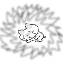 코알라소아청소년과의원 이미지