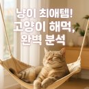 우리 냥이 최애템 등극! 고양이 해먹, 종류별 장단점부터 안전 설치 꿀팁까지