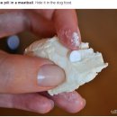 아포동물약국 이미지