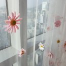 수정-25 | 인공수정 준비 :: 사실혼 관계 인공수정 서류준비(가임력 검사후기)