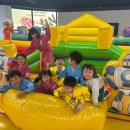 국가대표 라이온 태권도장 이미지