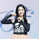 브룸 스타데일리뉴스 