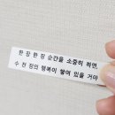 살롱 드 크리넥스 | 크리넥스 100주년 기념 팝업스토어 카페 (합정, 홍대)