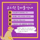 삼송데이케어 펫호텔 이미지