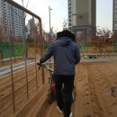 대구비슬초등학교 이미지