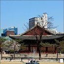 덕수궁 - 서귀포시 | 덕수궁