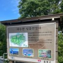 독도회식당 이미지