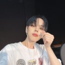 브이_알디