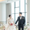 세인트41 이미지