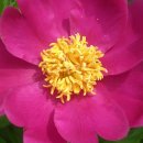 도순주유소 이미지