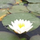 서공주JC(공주) 이미지
