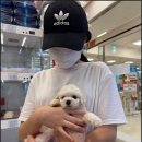 반려동물과함께하는#설렘 이미지