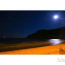 코끼리민박 이미지