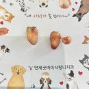 대전 사랑니발치 치과 매복사랑니 복잡사랑니 발치치과 추천 연세굿바이사랑니치과