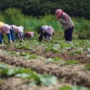 화지9리 이미지