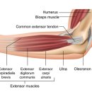 경희이지한의원 이미지