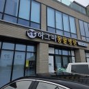 허그미동물병원 | 고양이 귀 염증 중이염 증상으로 여주 허그미동물병원 방문한 후기