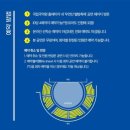 우면산별밤축제 이미지