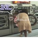 우성크린 - 마포구 월드컵로 196 | 우성크린