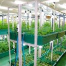 성실농장 이미지