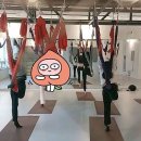 디아나필라테스&플라잉요가 네이버블로그