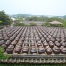 금빛농원 이미지