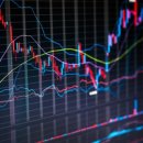 (주) 디에스바이오 이미지