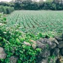 난산리 경로당 이미지