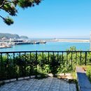 카페몰로 이미지