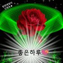 청주롤러스케이트장 이미지