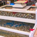 온누리수산 이미지