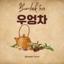 주식회사 허브티 | 우엉차효능, 진짜 혈당에 효과 있나? 부작용·비법까지 한눈에 총정리!