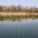 올림낚시는 예술이다-최근 제일낚시터에서 이미지