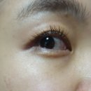 세이지영