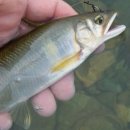 낙동강하천공원주차장 이미지