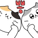 삼대본가 김치찜 이미지