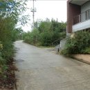 판교보건진료소 이미지