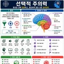 《뇌의 잠재적 능력 개발》선택적 주의력 이미지