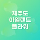 제주도 동물원 아일랜드플라워 후기