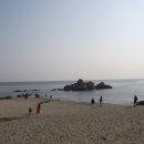 쏠피치 Daum카페