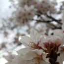 분당구청 이미지