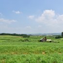 빠담목장 이미지