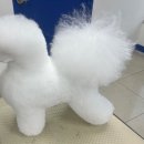 위그 자르기 딱 좋은 가위가 있다구!? 컷오프 위그가위