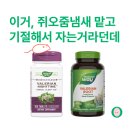 네이쳐스루트