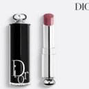 레이디올 이미지