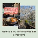 천안터미널맛집 신사우물갈비 신부점 내돈내산 | 불고기, 샤브샤브, 낙곱새 등 (+천안 벚꽃)