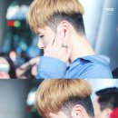 쿠나 이미지