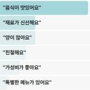 정릉정육점 | 생활의달인 4대를이어가는 이북식만둣국 접시만두 성북구 만두찐빵덕후달인