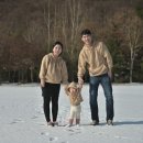 유리아이 | 《::대구돌잔치::내생의봄날/쁘띠엘라/유리아이한복/쎄쎄쎄/배동희스냅무비》