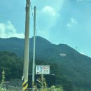 장영펜션 | 옥천 장영펜션 수영장펜션 다녀왔어요.